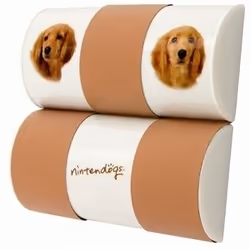 Bigben Interactive Magic Tube Nintendogs