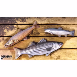 Bigben Interactive The Fisherman : Fishing Planet - Day One - Vista aggiuntiva 4