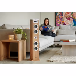 Thomson DS121CD set audio da casa Sistema home audio a torre 10 W Bianco, Legno