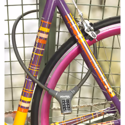 MASTER LOCK 8229EURDPROCOL antifurto per bicicletta Blu, Verde, Grigio, Rosso 900 mm