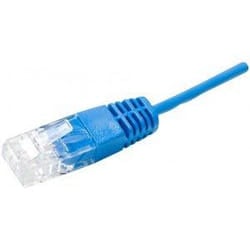 Dexlan UTP 1P 3m cavo di rete Blu U/UTP (UTP)