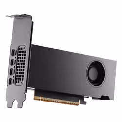PNY RTX PRO 2000 Blackwell NVIDIA 16 GB GDDR7 - Vista aggiuntiva 3