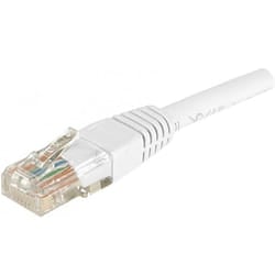 Dexlan Cat6 RJ45 UTP cavo di rete Bianco 5 m U/UTP (UTP)