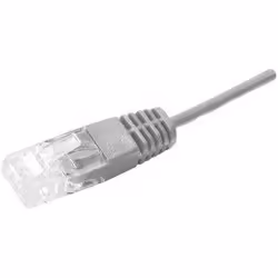 Dexlan UTP 2P 2m, 2 m, U/UTP (UTP), RJ-45, 2 x RJ-45, Grigio