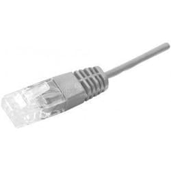 Dexlan UTP 2P 2m cavo di rete Grigio U/UTP (UTP)
