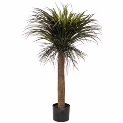Yucca artificiale "tropiques" h150cm - Atmosphera createur d'interieur. Colore : Vert. Materiale principale : Polyéthylène. L ...