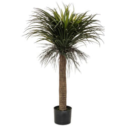 Yucca artificiale tropiques h150cm Atmosphera créateur d'intérieur