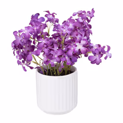 Atmosphera 189135, 1 pz