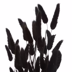 Atmosphera 189113D pianta artificiale