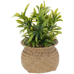 Atmosphera - Pianta di canna artificiale jiling in vaso h20cm créateur d'intérieur