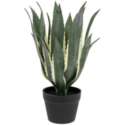 Atmosphera - Agave artificiale h55cm verde créateur d'intérieur