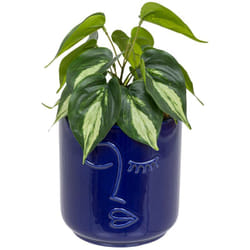 Atmosphera - Pianta artificiale soleya h30cm blu navy créateur d'intérieur