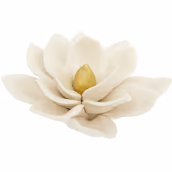Decorazione da tavolo "fiore" d14,5cm bianco - Atmosphera createur d'interieur. Colore : Blanc. Materiale principale : Grès ( ...