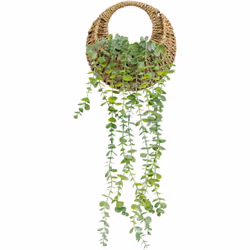 Pianta artificiale ricadente zea h70cm - Atmosphera createur d'interieur. Colore : Vert. Materiale principale : Polyéthylène. ...