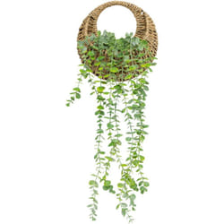 Atmosphera - Pianta artificiale ricadente zea h70cm créateur d'intérieur