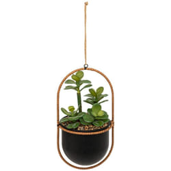 Atmosphera - Pianta artificiale sospesa tyla pot nero h31cm créateur d'intérieur