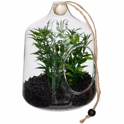 Terrario artificiale sospeso angolo della famiglia h15cm - Atmosphera createur d'interieur. Colore : Transparent. Materiale p ...