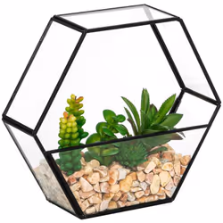 Terrario artificiale pia nero h20cm - Atmosphera createur d'interieur. Colore : Noir. Materiale principale : Polyéthylène. Lu ...