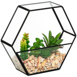 Atmosphera - Terrario artificiale pia nero h20cm créateur d'intérieur