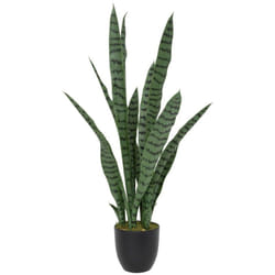 Atmosphera - Pianta artificiale sansevieria toby pot nero h90cm créateur d'intérieur