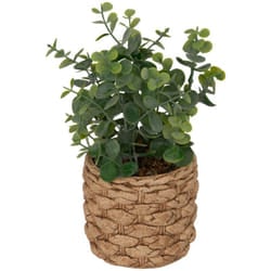 Atmosphera - Eucalipto artificiale in vaso jaye h27cm créateur d'intérieur