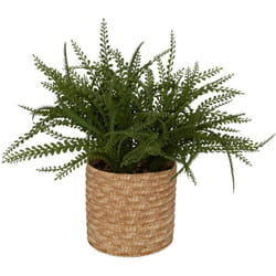 Atmosphera - Felce artificiale in vaso clemy verde h45cm créateur d'intérieur