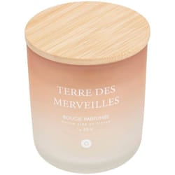 Atmosphera - Candela profumata terre des merveilles petali di muschio 255g créateur d'intérieur