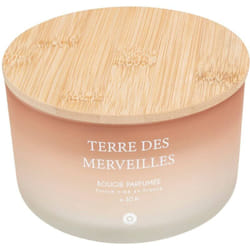 Atmosphera - Candela profumata terre des merveilles petali di muschio 420g créateur d'intérieur