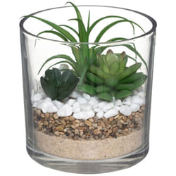 Atmosphera - Composizione di piante arificiali in vetro h16cm créateur d'intérieur