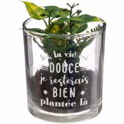 Pianta artificiale "message" in vetro h8cm - Atmosphera createur d'interieur. Colore : Douce. Materiale principale : Verre. L ...