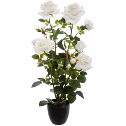 Pianta di rosa artificiale in vaso di cemento h74cm - Atmosphera createur d'interieur. Colore : Blanc. Materiale principale : ...