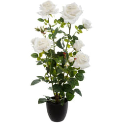 Atmosphera - Pianta di rosa artificiale in vaso di cemento H74cm - Bianco créateur d'intérieur