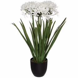 Agapanto artificiale h66cm - Atmosphera createur d'interieur. Colore : Blanc. Materiale principale : Polyéthylène. Lunghezza ...