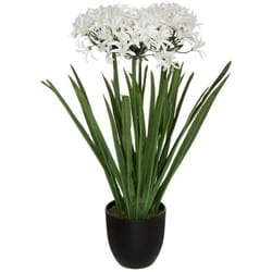 Atmosphera - Agapanto artificiale h66cm créateur d'intérieur