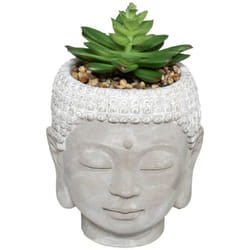 Atmosphera - Pianta artificiale buddha in vaso di cemento h13,5cm créateur d'intérieur