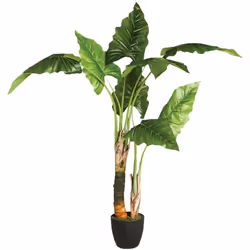 Albero di banane artificiale h120cm - Atmosphera createur d'interieur. Colore : Vert. Materiale principale : Polyester. Lungh ...