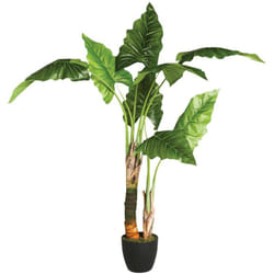 Atmosphera - Albero di banane artificiale H120cm créateur d'intérieur