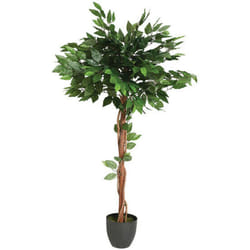 Ficus artificiale in vaso Altezza 120