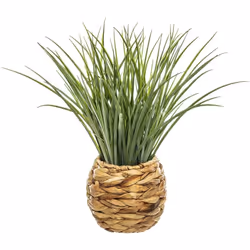 Erba artificiale h49cm - Atmosphera createur d'interieur. Colore : Beige. Materiale principale : Jacinthe d'eau. Lunghezza : ...