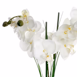 Atmosphera 136510A pianta artificiale