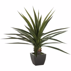 Agave artificiale gigante h130cm - Atmosphera createur d'interieur. Colore : Noir. Materiale principale : Polyéthylène. Lungh ...