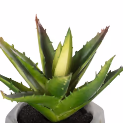 Atmosphera 114760 pianta artificiale