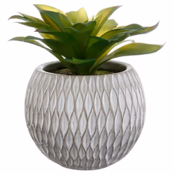 Atmosphera 145004, 1 pz