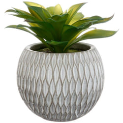 Atmosphera - Pianta grassa artificiale vaso in cemento H17cm - Modello b créateur d'intérieur