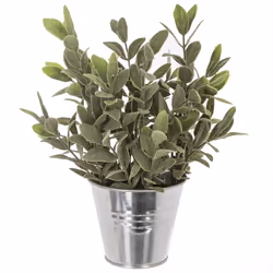 Atmosphera 114755, 1 pz