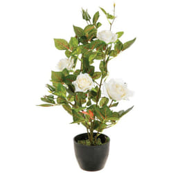Pianta di rosa artificiale in vaso di cemento H50cm - Bianco - Atmosphera créateur d'intérieur