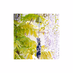 Aromandise JV8 indicatore di vento - Vista aggiuntiva 4