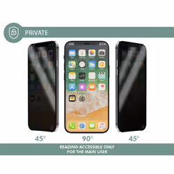 Force Glass FGEVOIP5PRIV protezione per lo schermo e il retro dei telefoni cellulari 1 pz