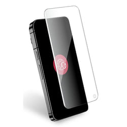 Force Glass FGOGPIXEL9PORIG protezione per lo schermo e il retro dei telefoni cellulari Pellicola proteggischermo trasparente Google 1 pz