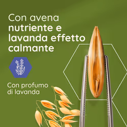 Aveeno Daily Moisturising Crema Idratante Corpo Lavanda 300ml